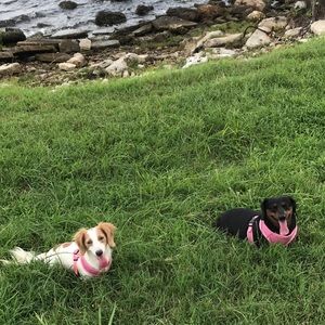 Meet your Posher, Cynthia